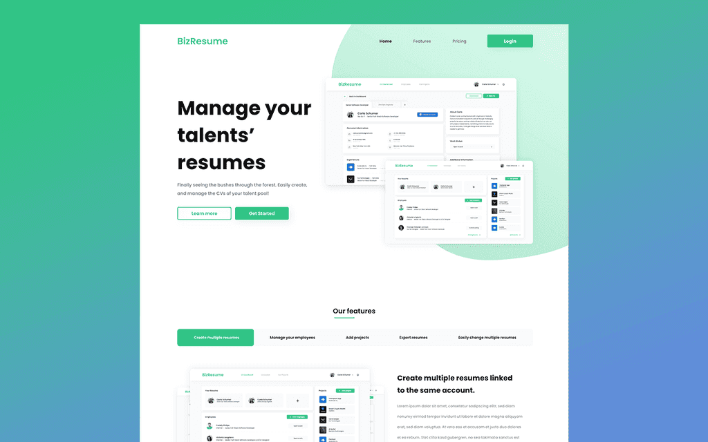 BizResume