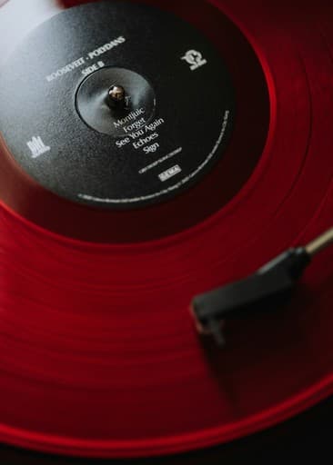 DWICE – The Smart Marketplace for Vinyl Lovers